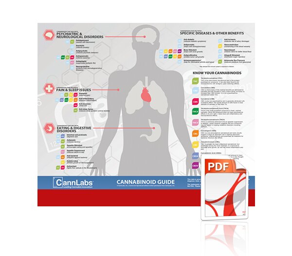 about-medical-cannabis-01